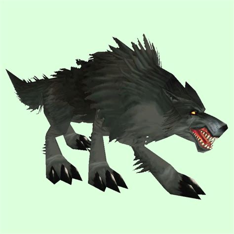 Black Wolf Pet Look Petopia Hunter Pets In The World Of Warcraft