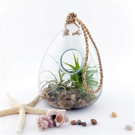 Walfront large terrarium, hanging succulent glass,hanging glass vase large terrarium with frame for air plants succulent planters. 100% Recycled Glass Hanging Terrarium - Twig Terrarium ...