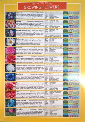 Growing Flowers Planting Chart Starting Flowers From Seeds Growing