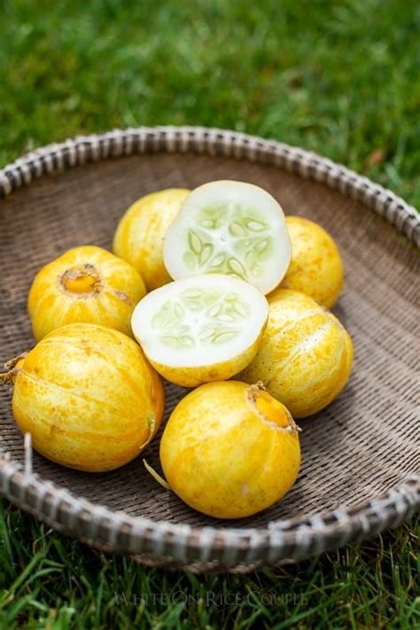 Lemon Cucumber Recipe With Pesto What Is Lemon Cucumber