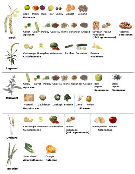 Both can cause nausea, stomach pains, excessive gas, and fatigue, but hives, a swollen. Sussman Research | Oral Allergy Syndrome