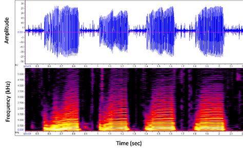 Spectrograms And Oscillograms This Is An Oscillogram And Spectrogram
