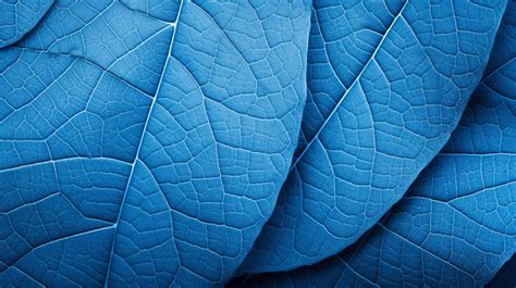 Backdrop Of Vibrant Blue Leaf Textures Background Plant Texture Leaf