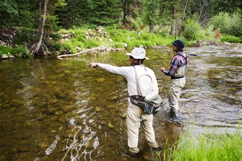 Fly Fishing Colorados Small Creeks