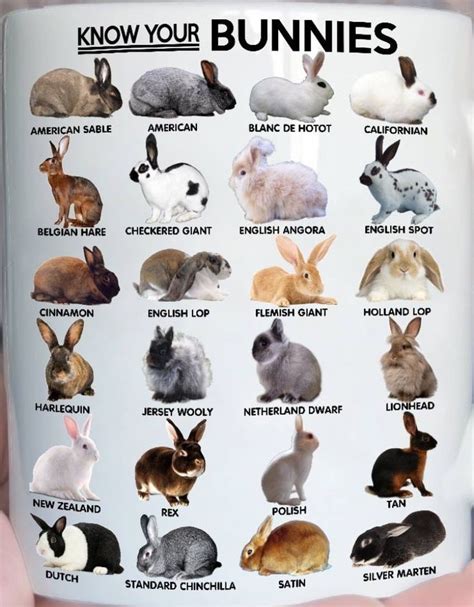a woman is holding a coffee mug with rabbits on it and the words know