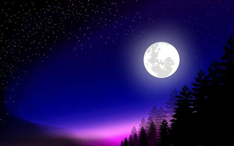 Full Moon Night Illustration Vector Image In The Forest Vector