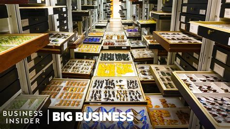 How 147 Million Specimens Are Maintained In Hidden Smithsonian