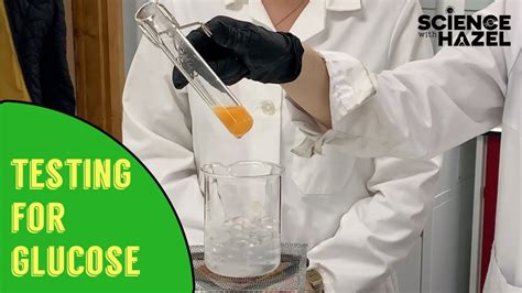 Food Tests How To Test For Glucose Biology Practicals Youtube