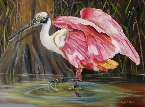 Roseate Spoonbill In A Cypress Swamp Painting By Phyllis Beiser