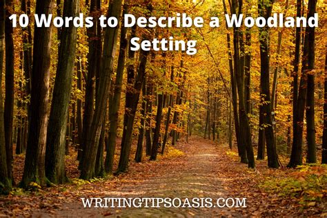 10 Words To Describe A Woodland Setting Writing Tips Oasis A