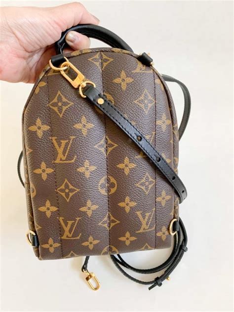 Louis Vuitton Mini Palm Spring Bags Lyxen Se