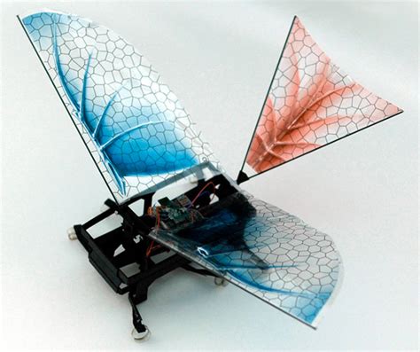 Winged Robot Is Time Machine To Origins Of Flight Wired