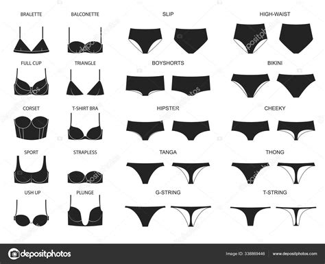 Types Of Women S Panties And Bras Set Of Underwear Vector Image By
