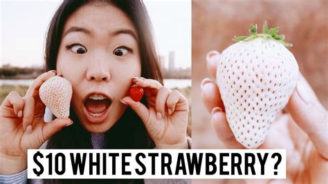 10 Japanese White Strawberry 🍓🤔 Youtube