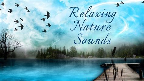 Relaxation Relaxingsounds Naturesounds Relaxationmusic Relaxing