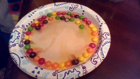 Skittles With Water Experiment Youtube