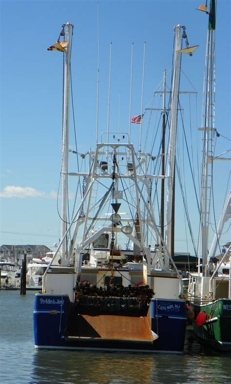 The Fleet At Fishermans Wharf Port Of Cape May Learn About How Your