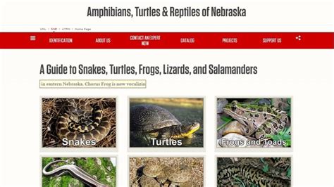 New Website Aims To Educate Public About Herpetology Announce