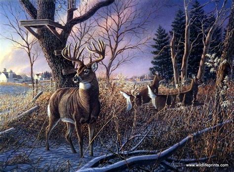 Pin On Paintings Deer Elk Moose