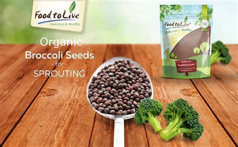 Organic Broccoli Seeds For Sprouting By Food To Live Non