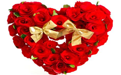 Hearts Valentines Day Red Roses Nature For You Roses Music Rose With