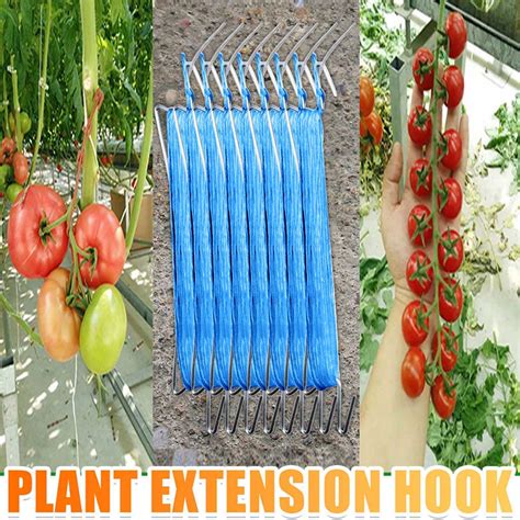 Tomato Hook Tomato Support Clips Vegetable Support Prevent Tomatoe From