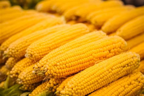 Summertime Means Sweet Corn Time Fill Your Plate Blog