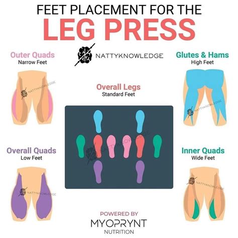 Great Graphic Showing Different Foot Placements And The Different Target Areas On A Leg Press
