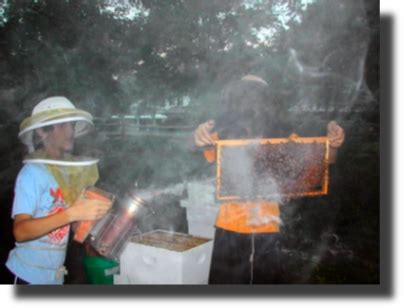 Our mission is to promote the art and technique of beekeeping through education and. Beekeeping for Beginners - Class Starts This Saturday ...