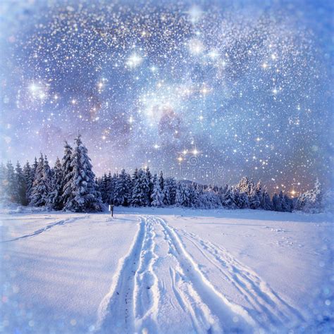 Starry Sky In Winter Snowy Night Stock Image Image Of