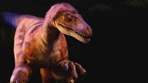 ‘jurassic Park Got This Wrong About Velociraptors Cnn