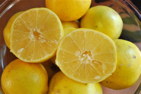 Limoo Shirin Sweet Persian Lemon