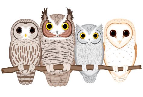 160 Horned Owls Cartoons Stock Illustrations Royalty Free Vector