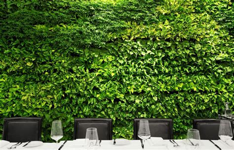 A Giant Living Wall Turns This Times Square Restaurant Into A Lush