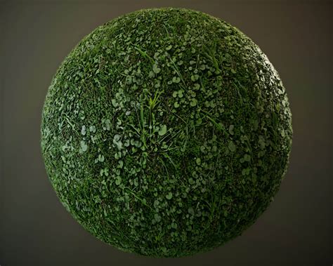 10 Seamless Pbr Grass Textures 3d Texture By Seta