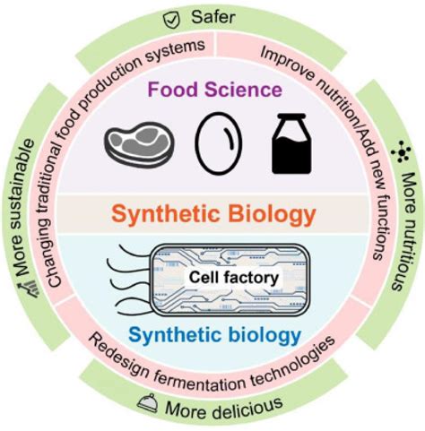 Synthetic Biology For Future Food Research Progress And Future