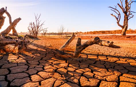 South Africa Declares Western Cape Province A Drought Disaster Area