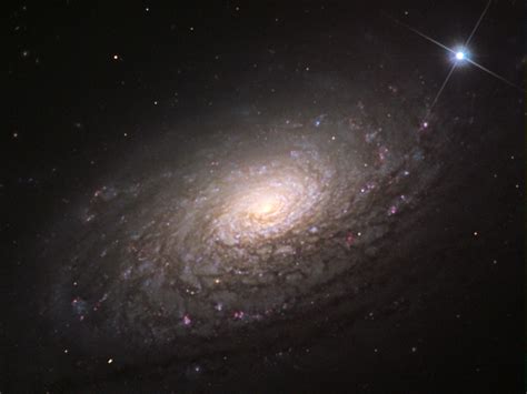 M63 Sunflower Galaxy Noirlab