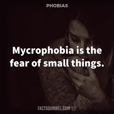 Mycrophobia Is The Fear Of Small Things Fact Squirrel