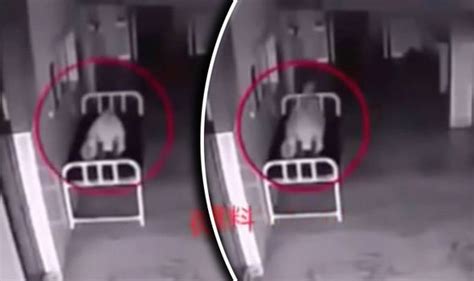 Chinese Hospital Camera Captures Soul Leaving A Body In Eerie Footage