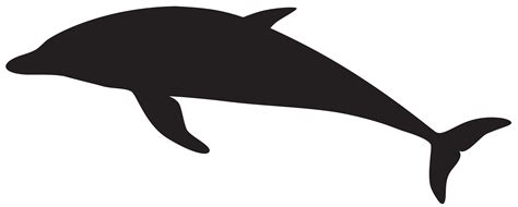 Dolphin Silhouette Clip Art Dolphin Silhouette Png Clip Art Image Png