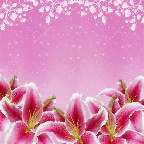 Wallpaper Pink Lilies Background The Design Interior