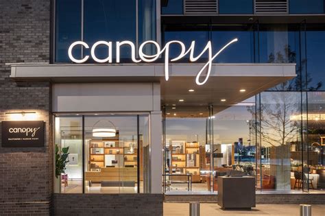 Canopy By Hilton Baltimore Harbor Point Updated 2023 Prices Reviews