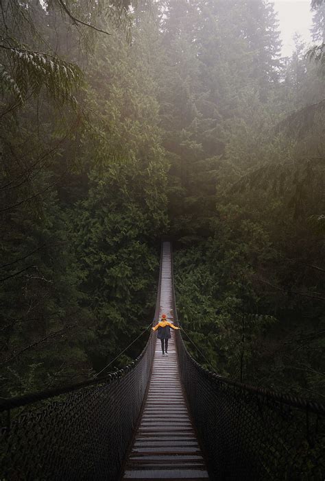 Brown Hanging Bridge Bridge Man Hanging Trees Forest Vancouver