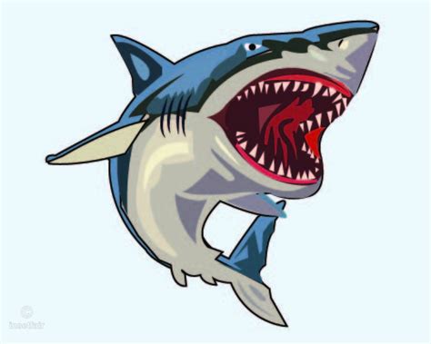 88 Shark Svg Free Download Svg Png Eps Dxf File