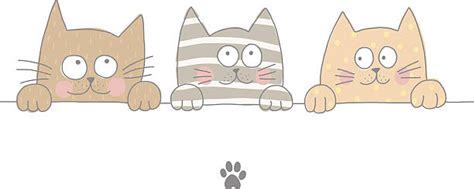 Three Cats Illustrations Royalty Free Vector Graphics And Clip Art Istock
