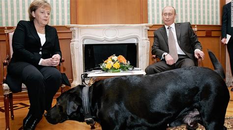 Putin I Didnt Mean To Scare Angela Merkel With Dog Cnn