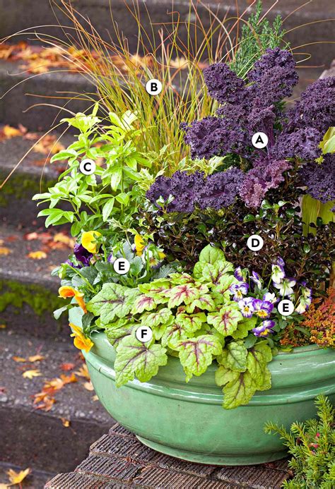 Fall Container Garden Ideas Better Homes And Gardens