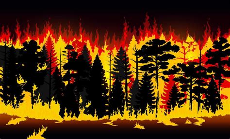 Forest Fire Burning Trees And Grass Wildfire 21022525 Vector Art At