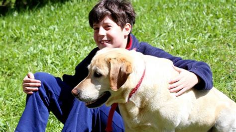 Lo Siento No Es Posible Reducir El Título Terapia Con Perros Para Niños Con Autismo Mejora